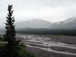 A braided river in Denali.  The flow changes daily, depending on the rainfall and temperature.  Some days the river is raging, some days there is barely any water.