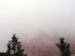 The next morning - a bit foggy and pouring rain.