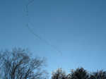 Geese flying over the neighborhood after the ice storm