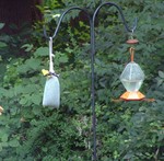 A goldfinch on the finch feeder.  What an amazing bird.  Do they know how beautiful they are?
