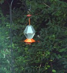 Hummingbird - I have a few, they fight, so I've had to put up two feeders. 
To view a montage of hummer feeding, click here: hummer feeding