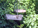 A squirrel resting in the bird feeder.  He was pretty well fed that day.