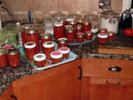 We made 34 jars of salsa, from quarts to 4 oz jars, three batches.  Two were mild, one hot (way to hot for me), which Mike thought wasn't quite hot enough!!