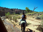 David setting off on horseback