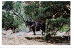 Stopping for lunch the first day