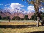 Mount Whitney, on the road from Death Valley to Yosemite