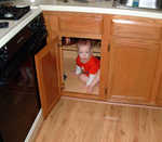 The perfect solution to the blind corner cabinet problem.